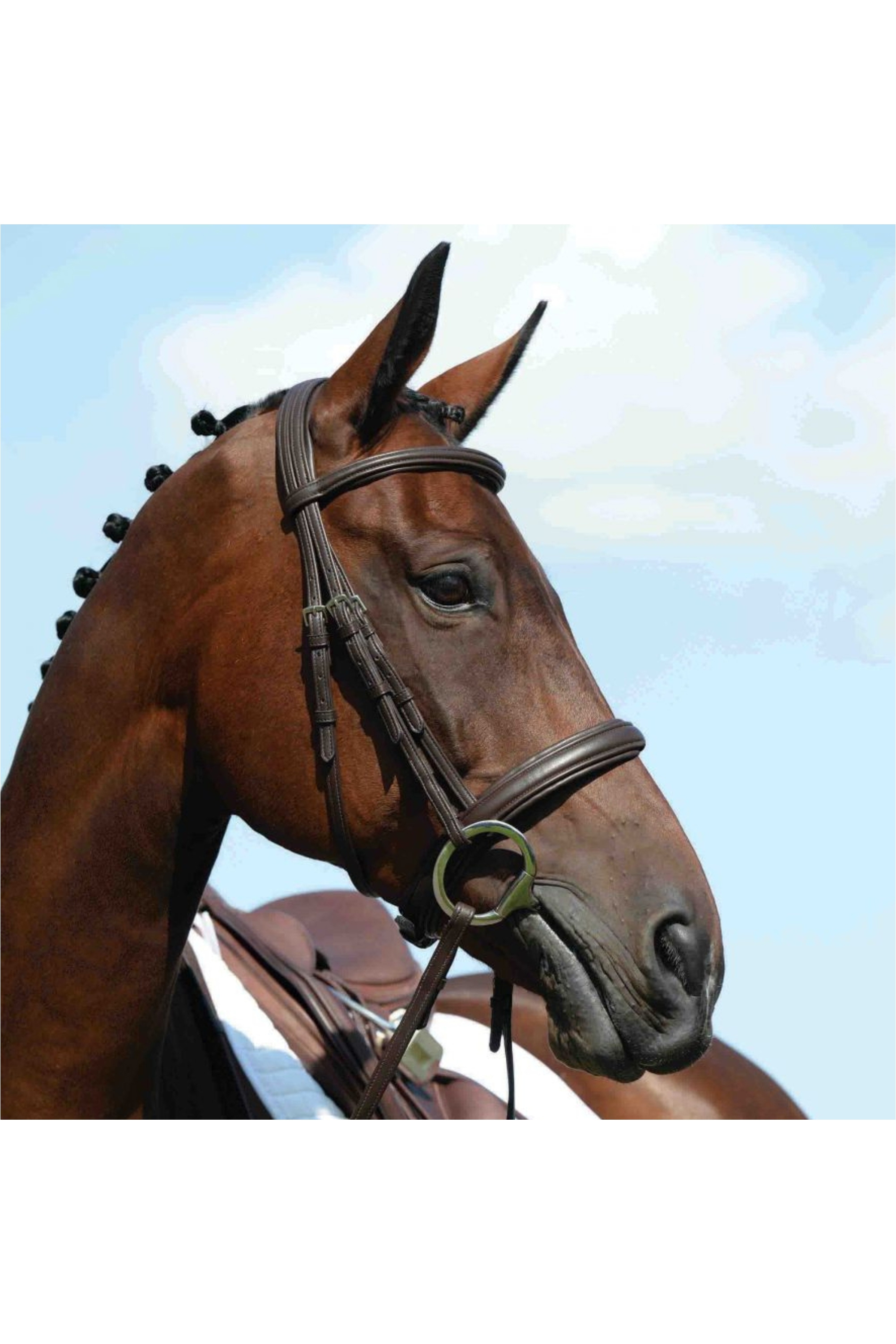 Collegiate Synthetic Raised Cavesson Bridle
